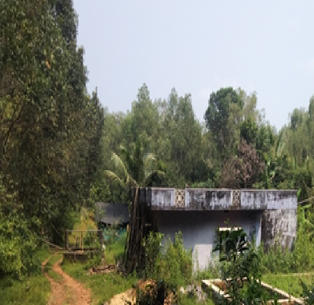 Udaya Acharya, Karnataka